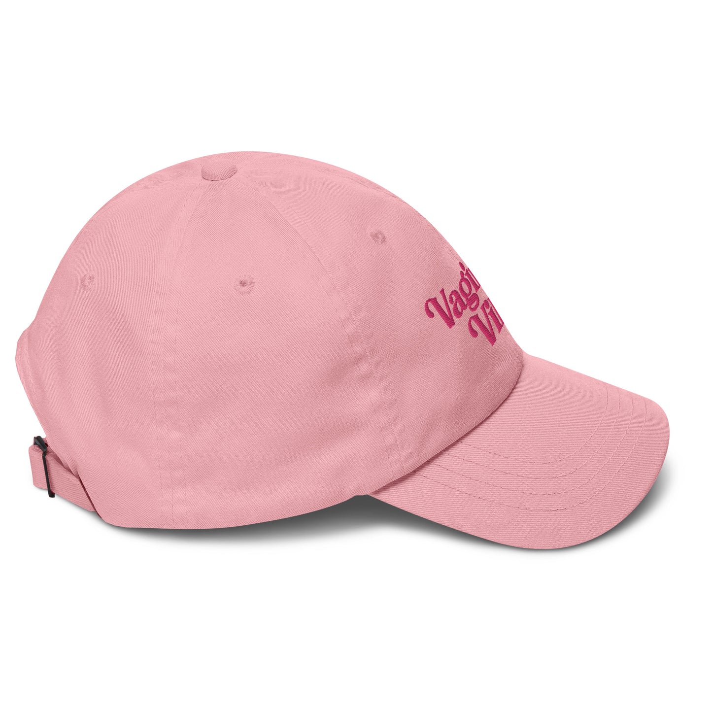 Vagina Village Hat